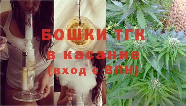 мяу мяу мука Абаза
