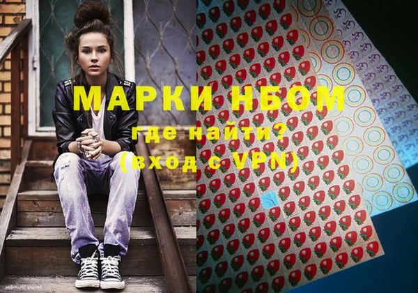 стафф Алзамай