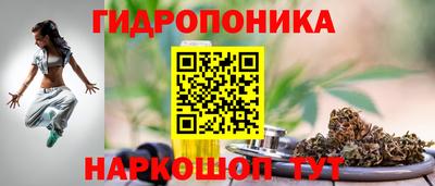 дмт Нарткала