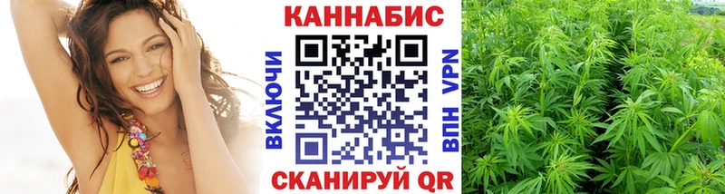 Шишки марихуана сатива  Грязи 